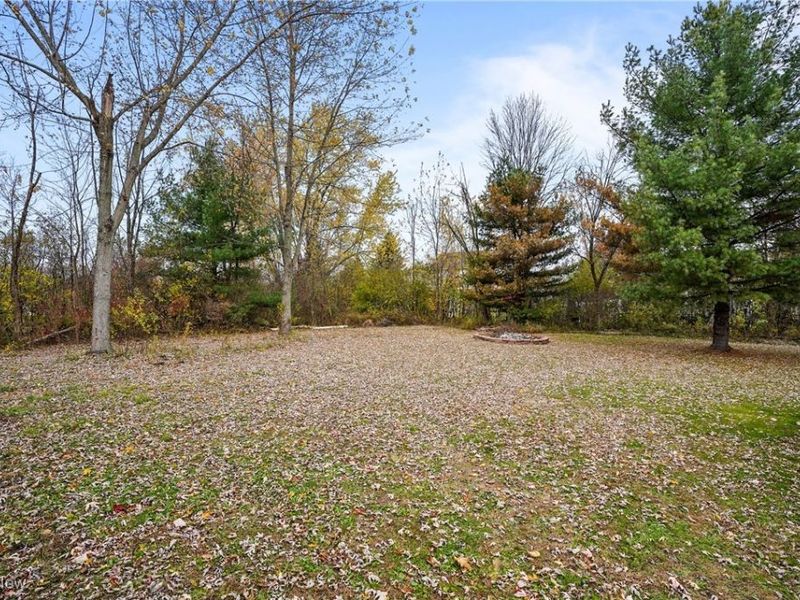 10038 Page Road, Streetsboro, OH 44241 Photo 16