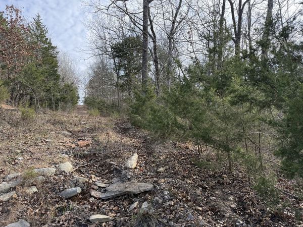 0 Riverview Rd , Clifton, TN 38425