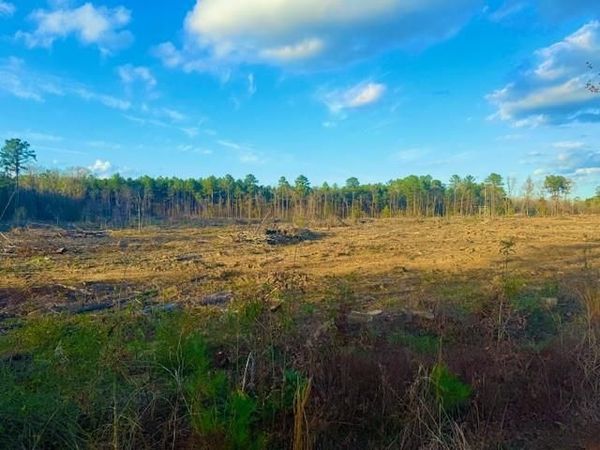 0 IAN JOHNSON Road, Boyce, LA 71409