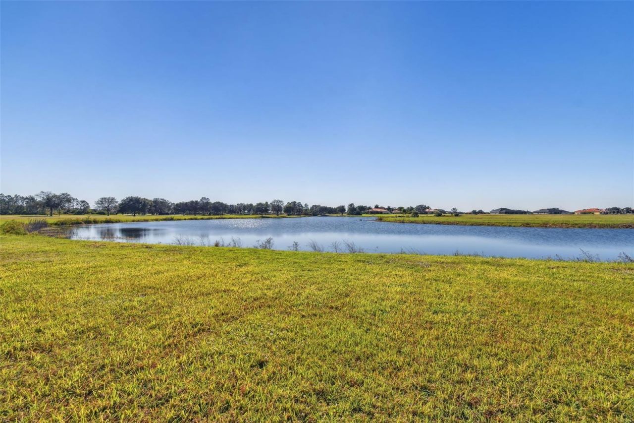 5333 Lake Venice Drive, Wimauma, FL 33598 Photo