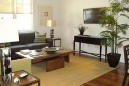 13 Brewster Court photo 4