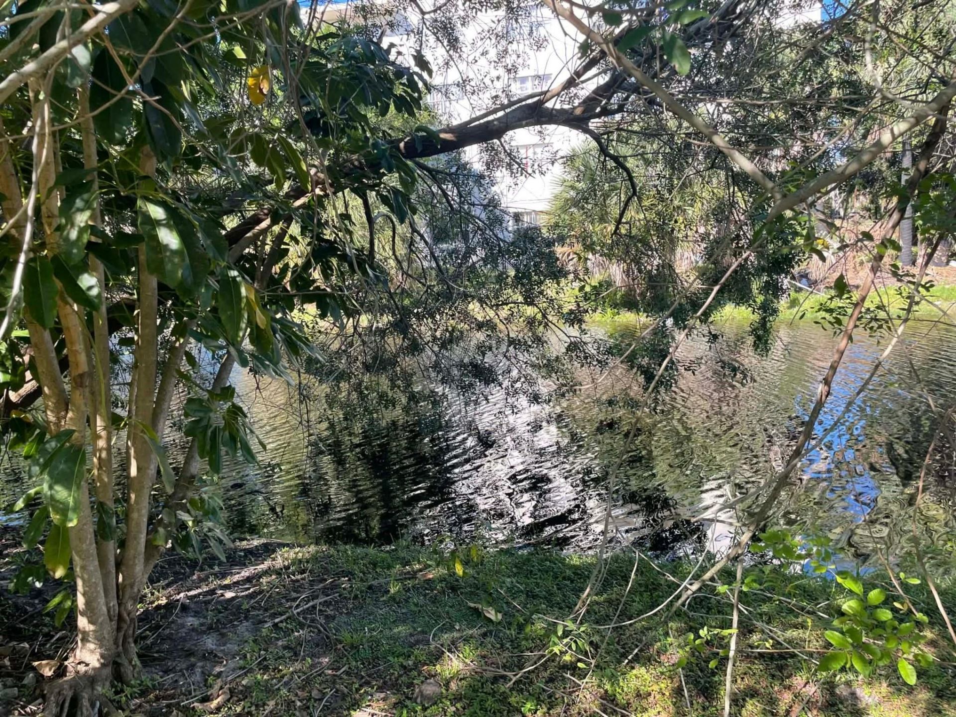 4421 NW 34th Court, Lauderdale Lakes, FL 33319 Photo