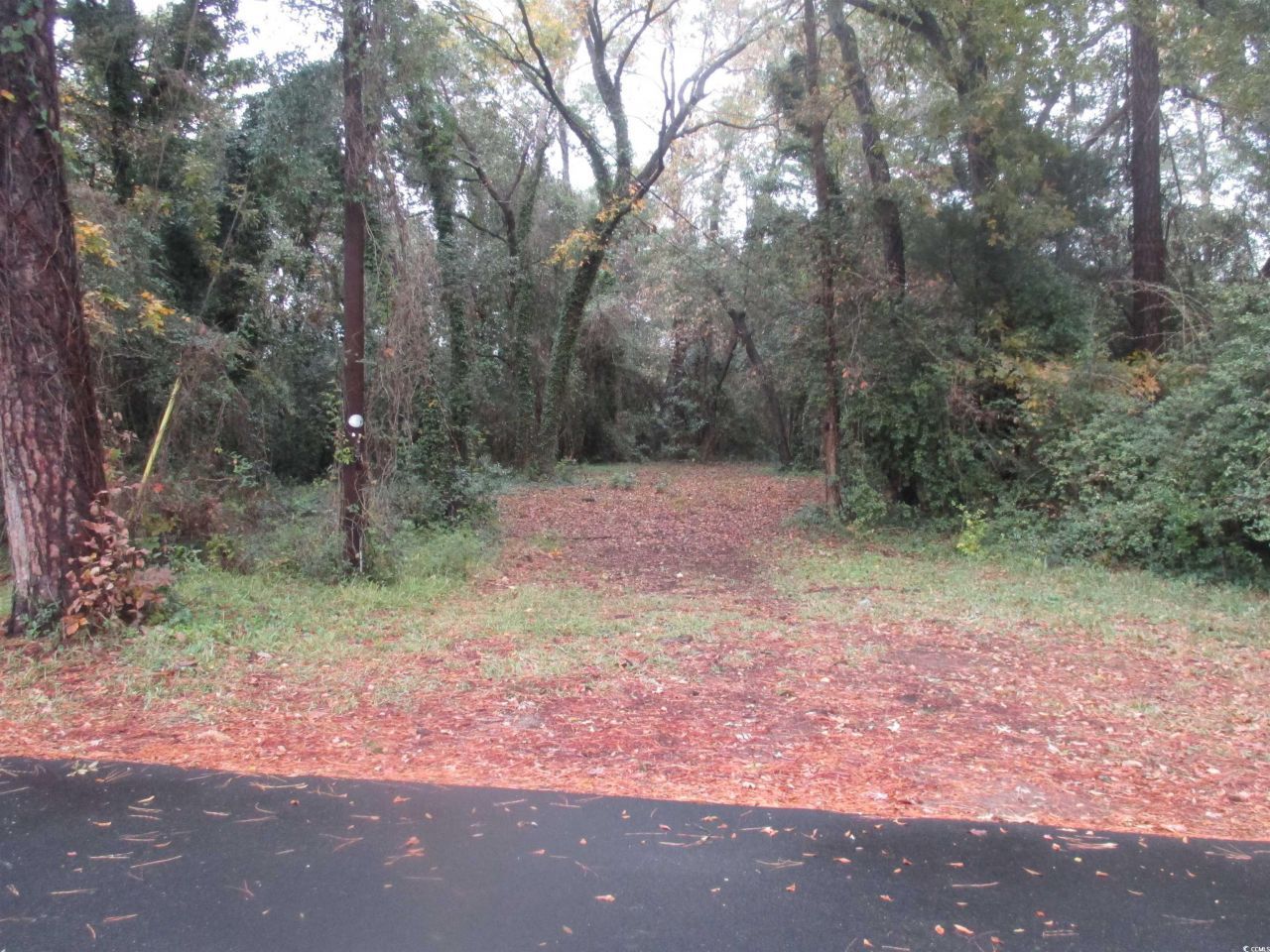 410 14th Ave. N Photo 10