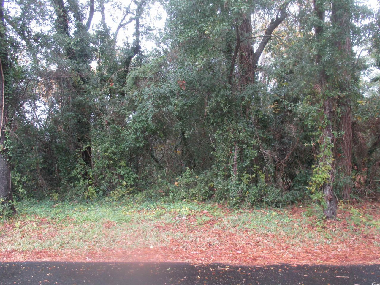 410 14th Ave. N Photo 11