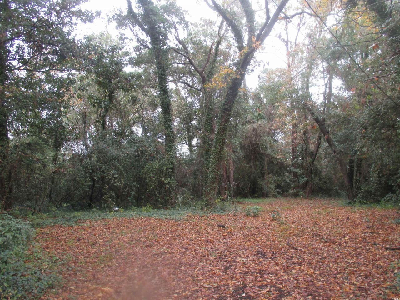 410 14th Ave. N Photo 12