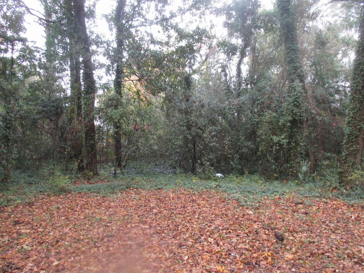 410 14th Ave. N Photo 13