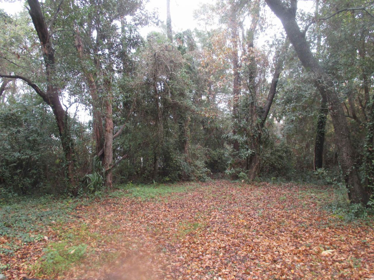 410 14th Ave. N Photo 14