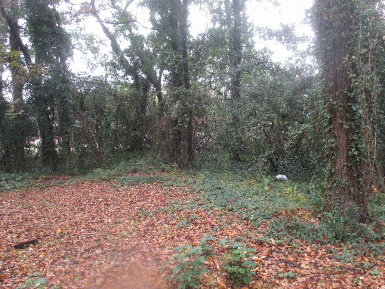 410 14th Ave. N Photo 15