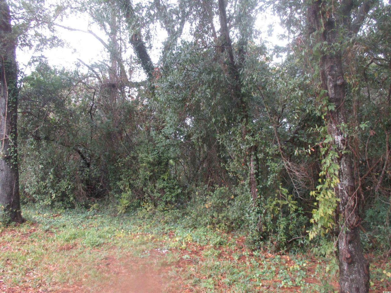 410 14th Ave. N Photo 16