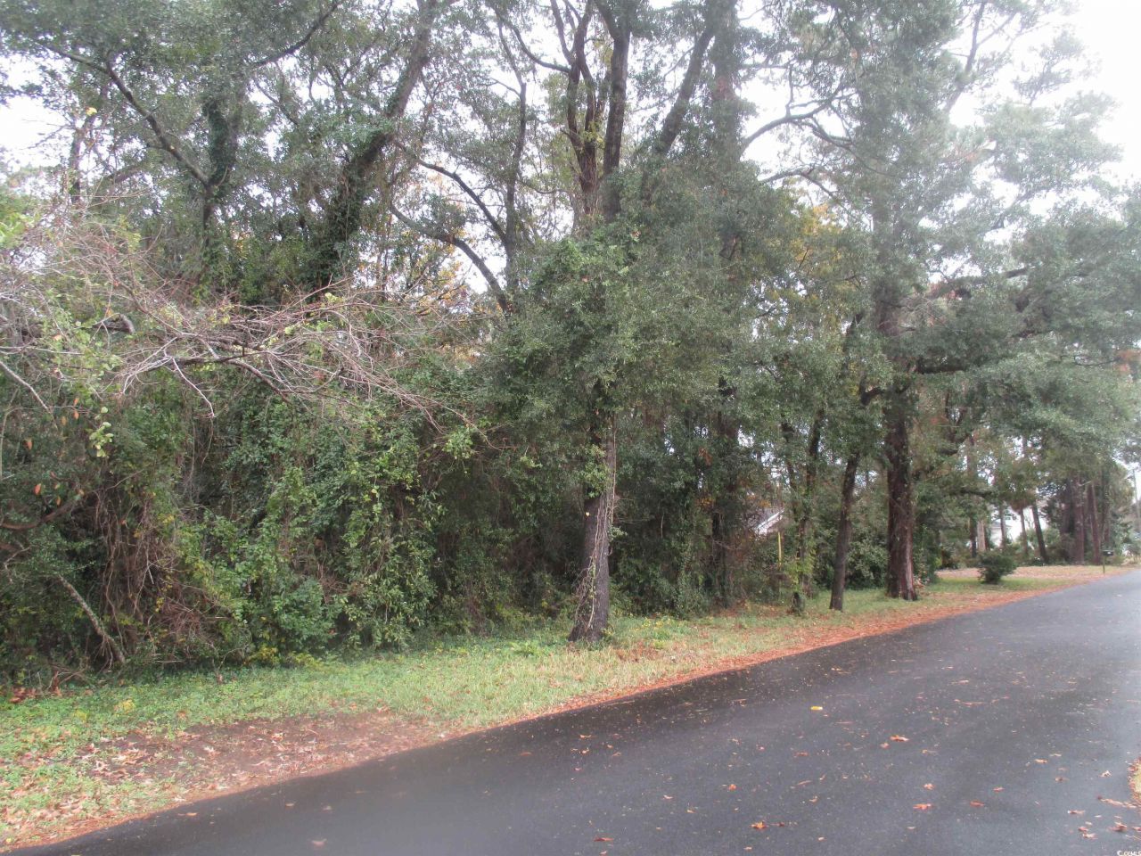 410 14th Ave. N Photo 6