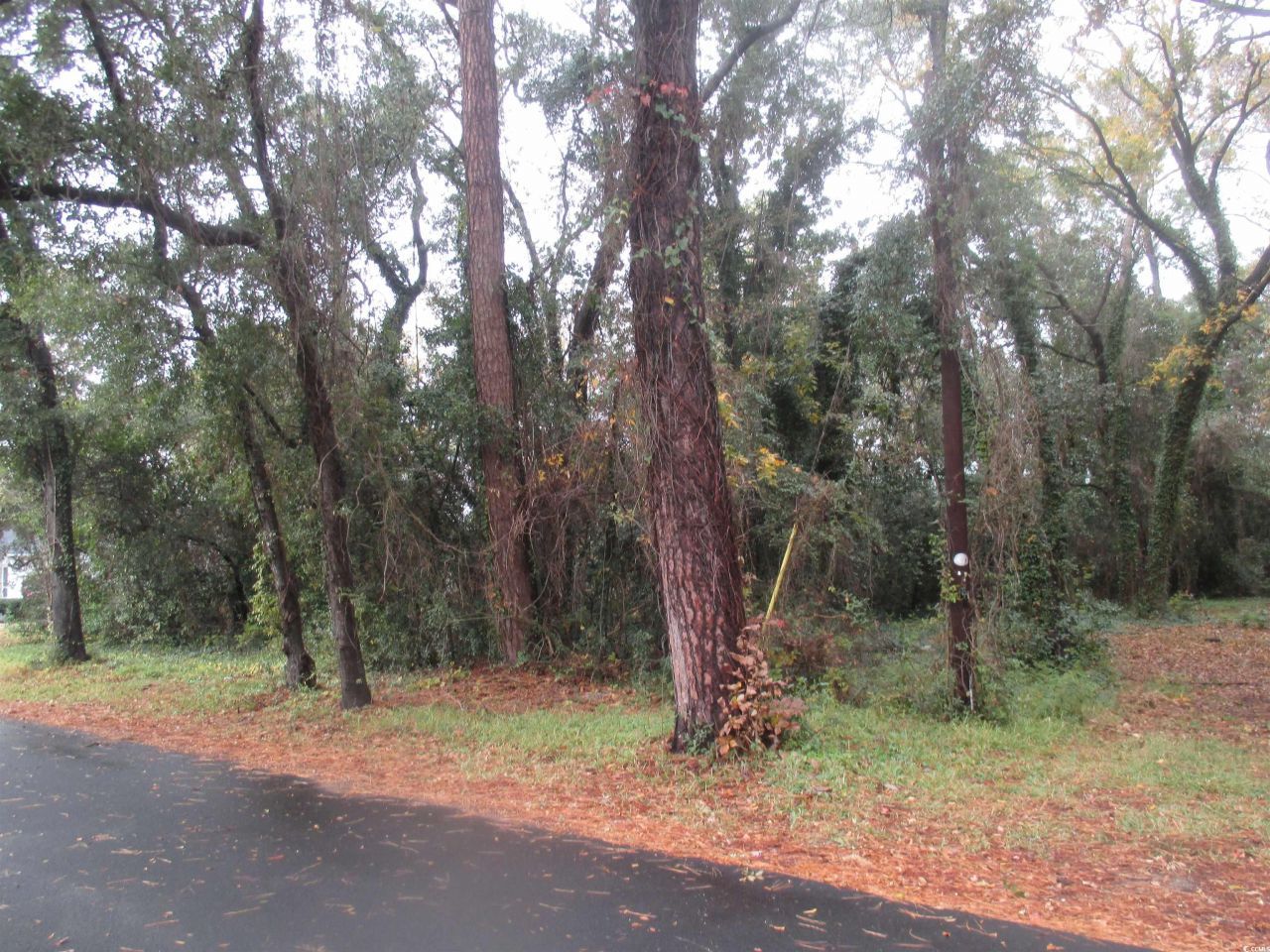 410 14th Ave. N Photo 7