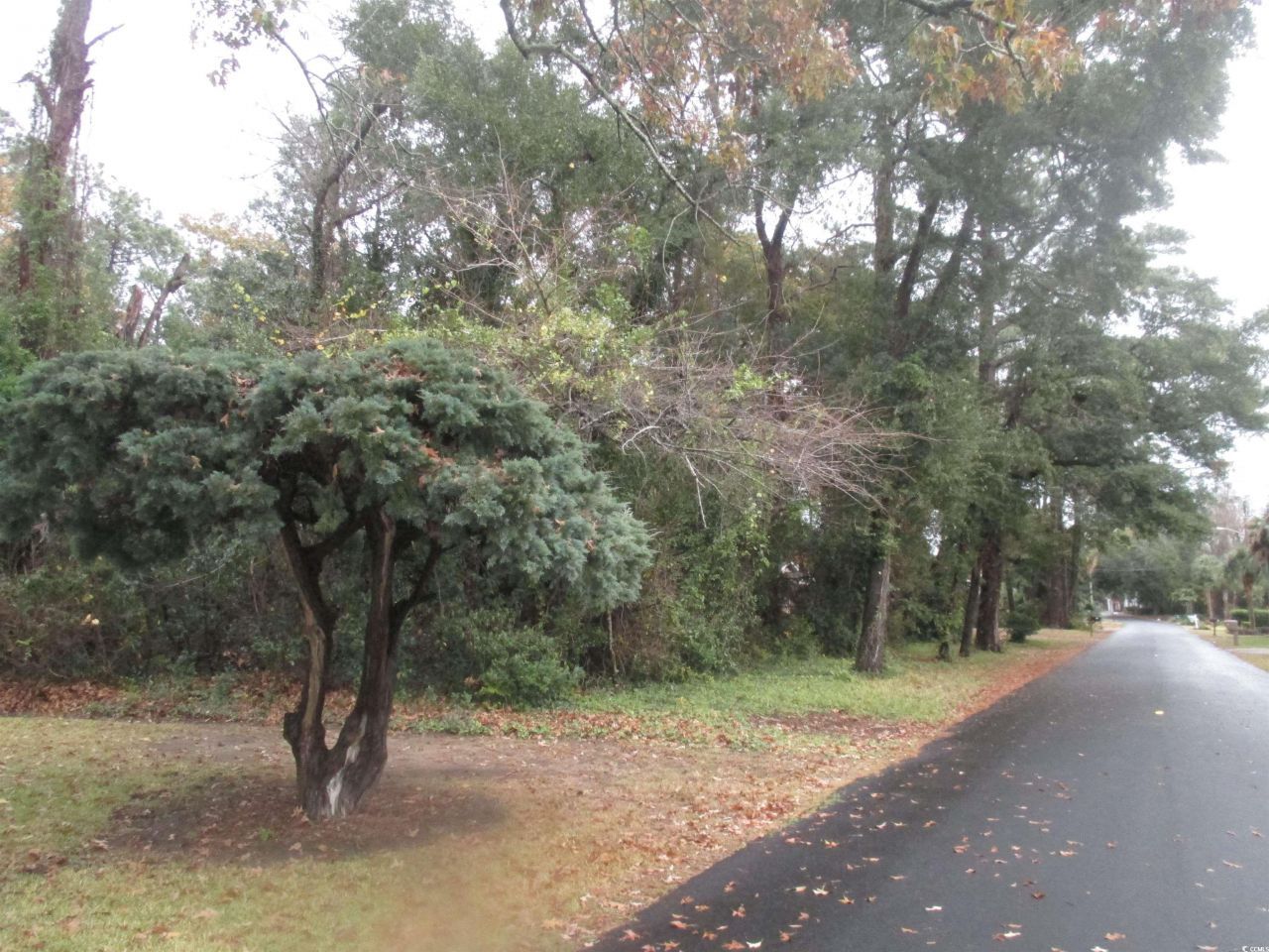 410 14th Ave. N Photo 9