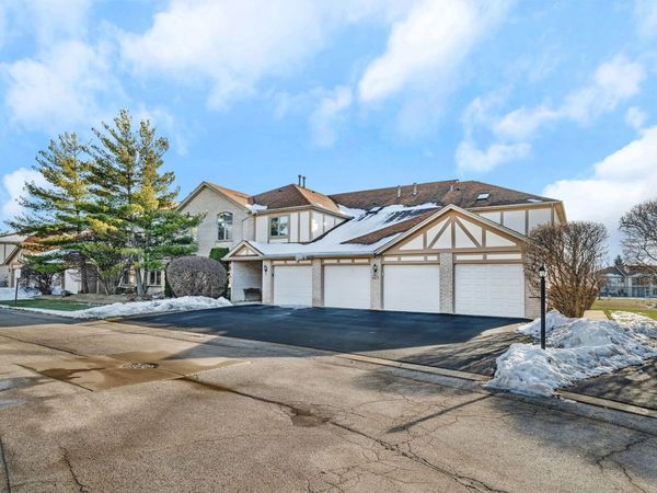 6413 Pine Trail Lane, Unit 2, Tinley Park, IL 60477