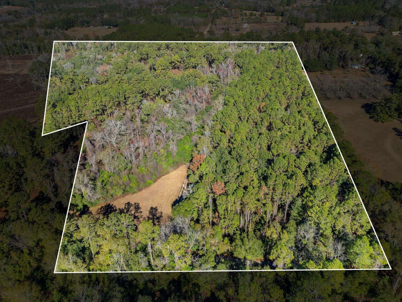 262 Red Fox Lane, Havana, FL 32333 Photo