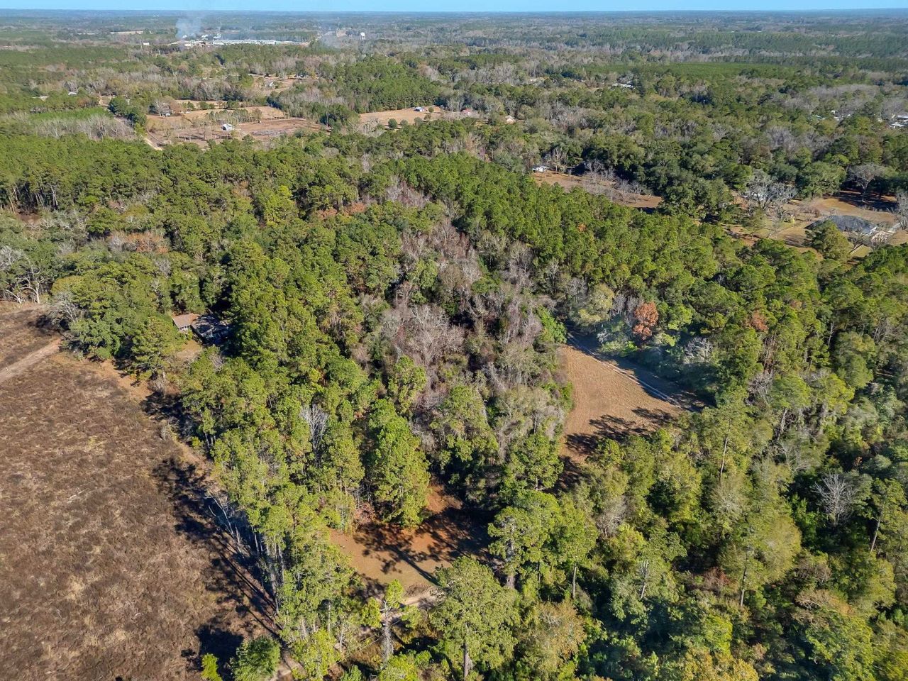 262 Red Fox Lane, Havana, FL 32333 Photo