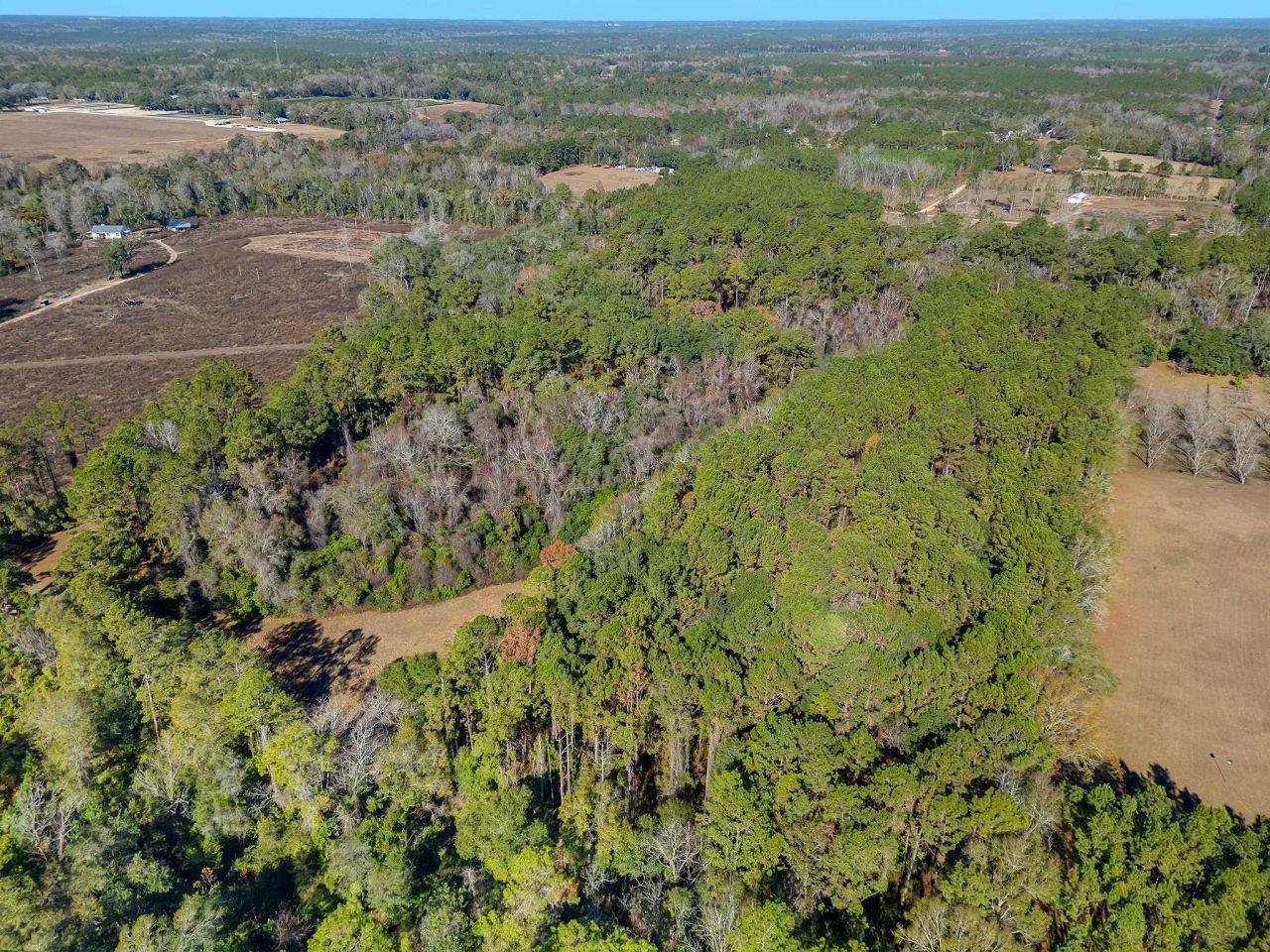 262 Red Fox Lane, Havana, FL 32333 Photo