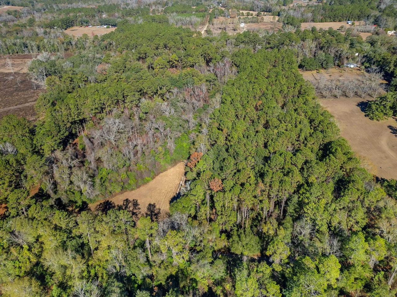 262 Red Fox Lane, Havana, FL 32333 Photo