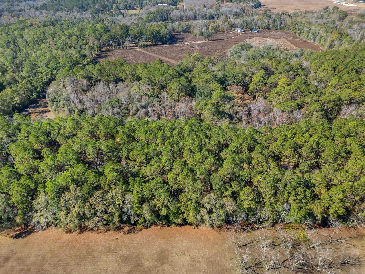 262 Red Fox Lane, Havana, FL 32333 Photo