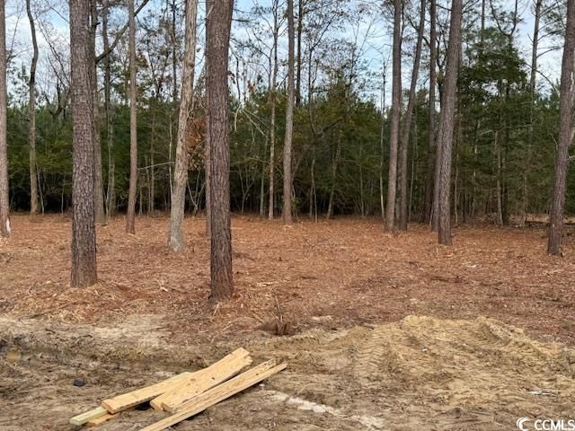 1082 Rocky Ln. Photo 5