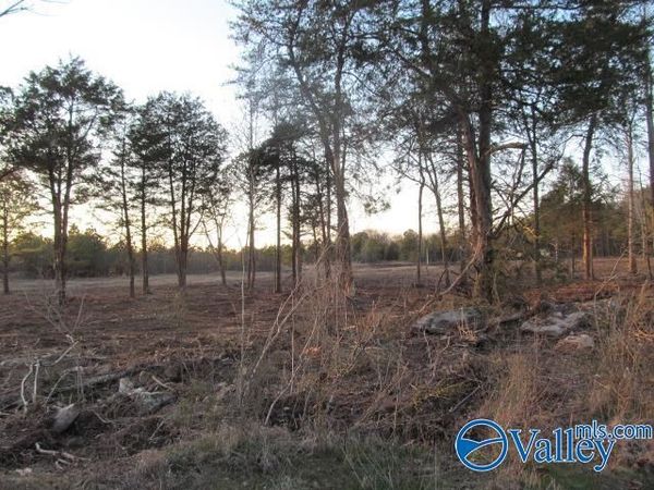 12 Hogs Lane, Albertville, AL 35951