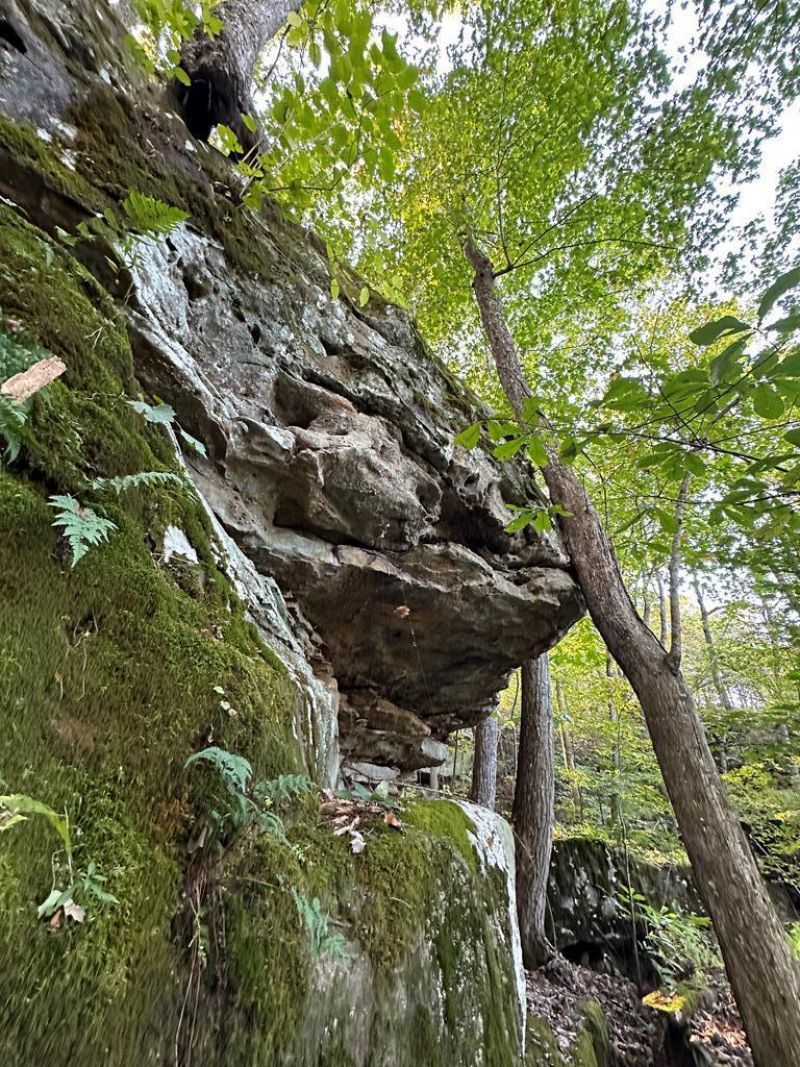 Lot 408 East Obey Lane, Wilder, TN 38589 Main Photo