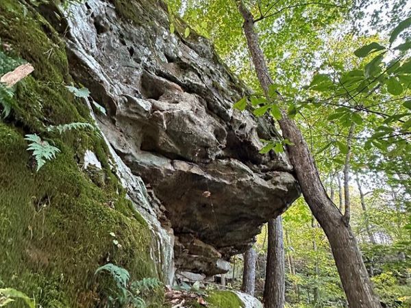 LOT 408 East Obey Lane, Wilder, TN 38589