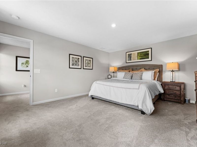 501 Creek Bend Trail, Lodi, OH 44254 Photo 18