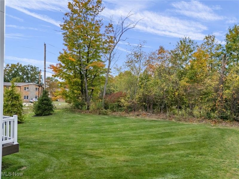 501 Creek Bend Trail, Lodi, OH 44254 Photo 38