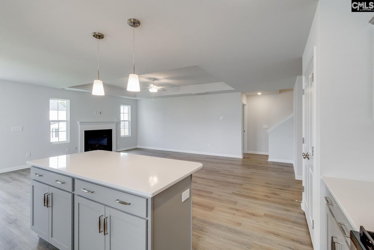 718 Clementine Run Photo 12