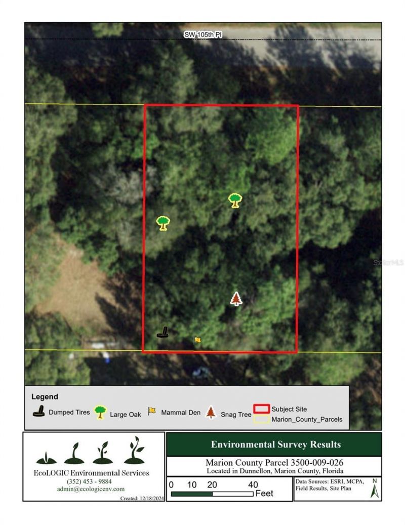 Sw 105th Place, Dunnellon, FL 34432 Photo