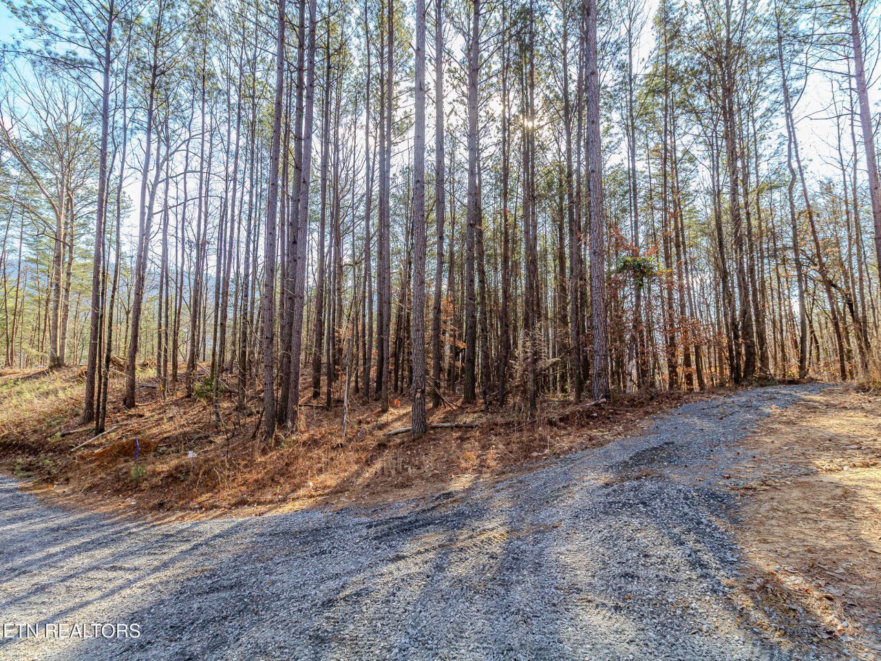 Lot 5 Parksville Road, Benton, TN 37307 Main Photo