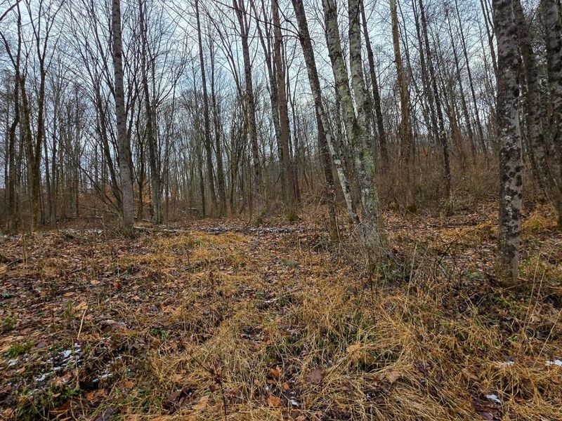 7893 Scenic Road SE, Unit (Lot 12 at, Corning, OH 43730 Photo 10