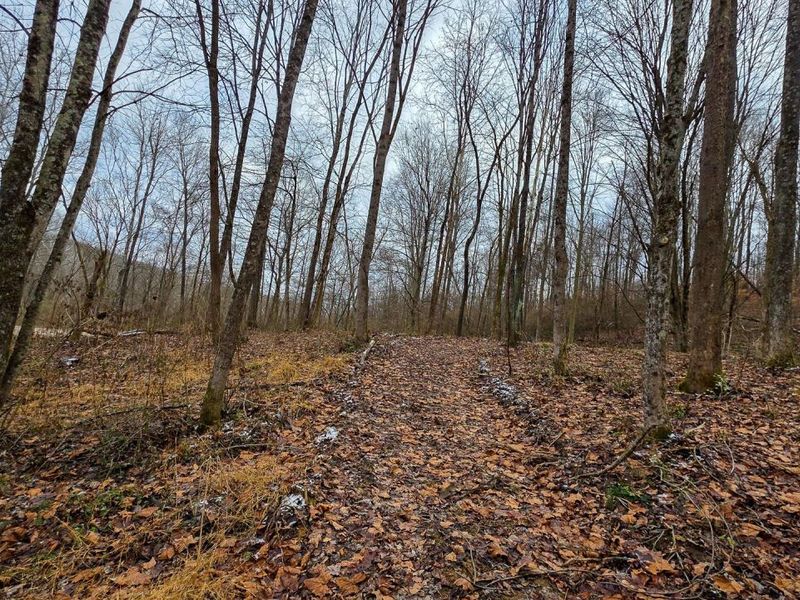 7893 Scenic Road SE, Unit (Lot 12 at, Corning, OH 43730 Photo 11