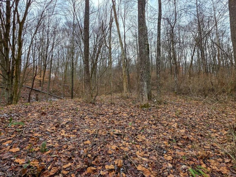 7893 Scenic Road SE, Unit (Lot 12 at, Corning, OH 43730 Photo 12