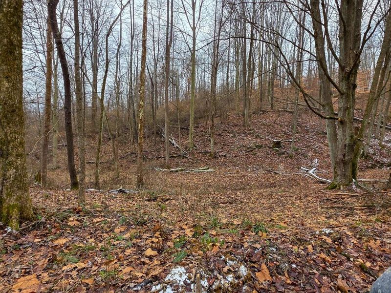 7893 Scenic Road SE, Unit (Lot 12 at, Corning, OH 43730 Photo 13