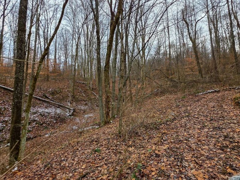 7893 Scenic Road SE, Unit (Lot 12 at, Corning, OH 43730 Photo 14