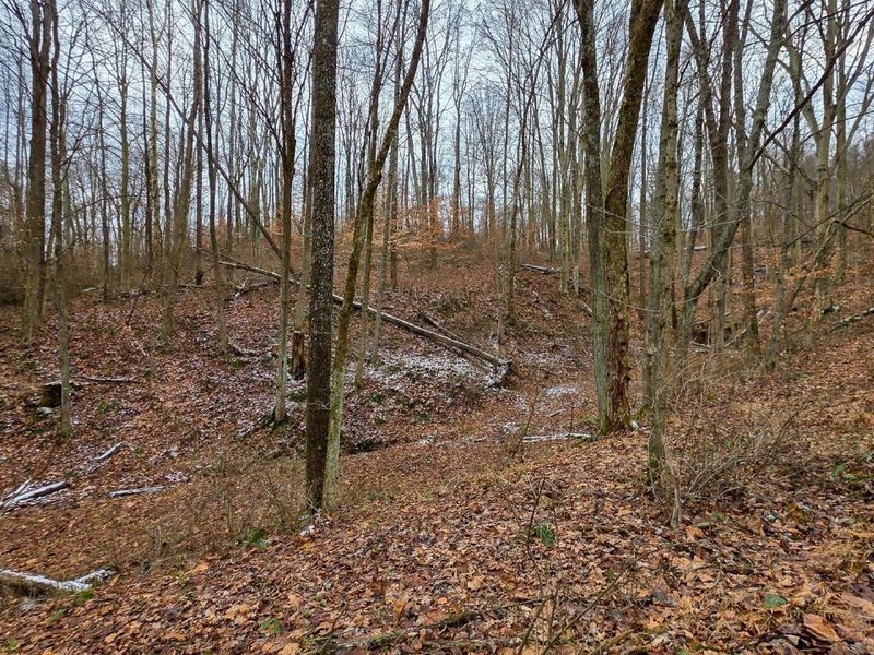 7893 Scenic Road SE, Unit (Lot 12 at, Corning, OH 43730 Photo 15