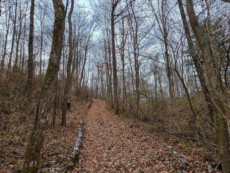 7893 Scenic Road SE, Unit (Lot 12 at, Corning, OH 43730 Photo 16