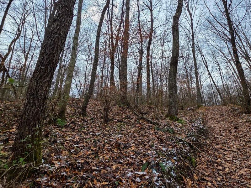 7893 Scenic Road SE, Unit (Lot 12 at, Corning, OH 43730 Photo 17