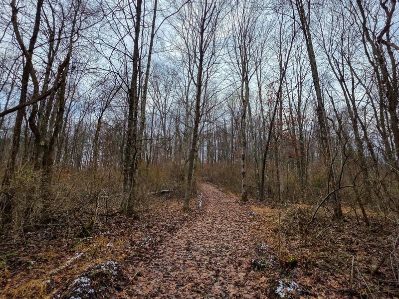 7893 Scenic Road SE, Unit (Lot 12 at, Corning, OH 43730 Photo 19