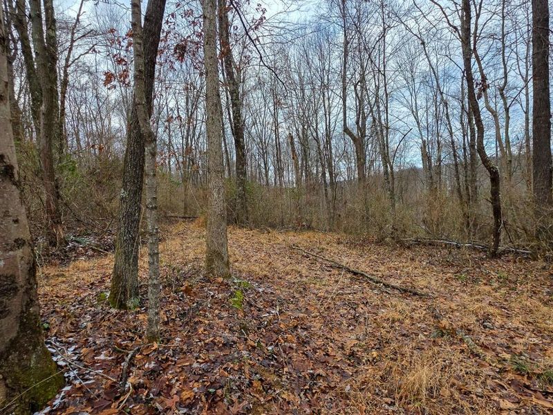 7893 Scenic Road SE, Unit (Lot 12 at, Corning, OH 43730 Photo 20