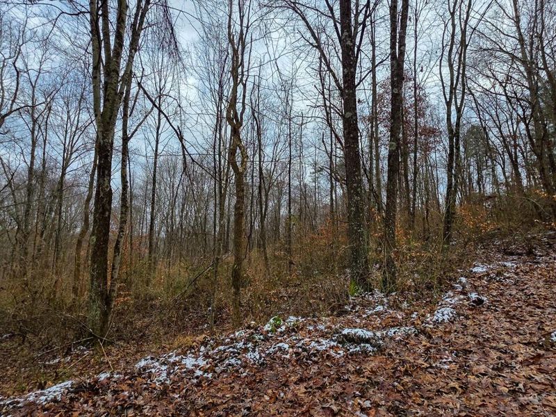 7893 Scenic Road SE, Unit (Lot 12 at, Corning, OH 43730 Photo 21