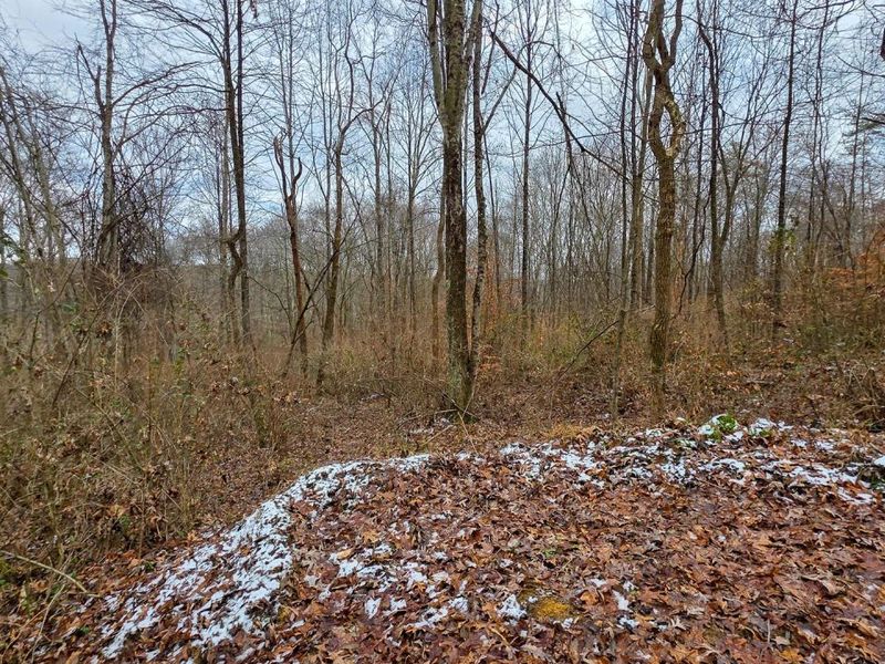 7893 Scenic Road SE, Unit (Lot 12 at, Corning, OH 43730 Photo 22