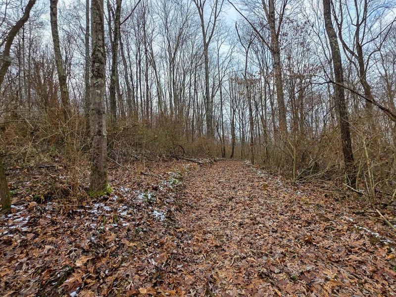 7893 Scenic Road SE, Unit (Lot 12 at, Corning, OH 43730 Photo 23