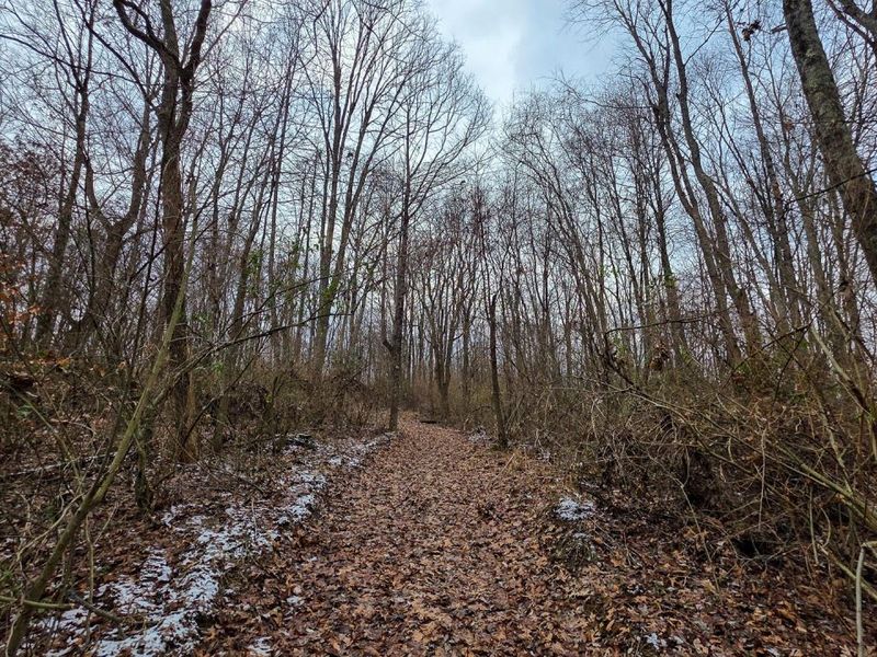 7893 Scenic Road SE, Unit (Lot 12 at, Corning, OH 43730 Photo 24