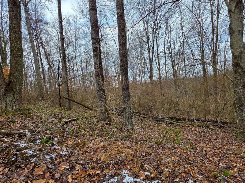 7893 Scenic Road SE, Unit (Lot 12 at, Corning, OH 43730 Photo 25