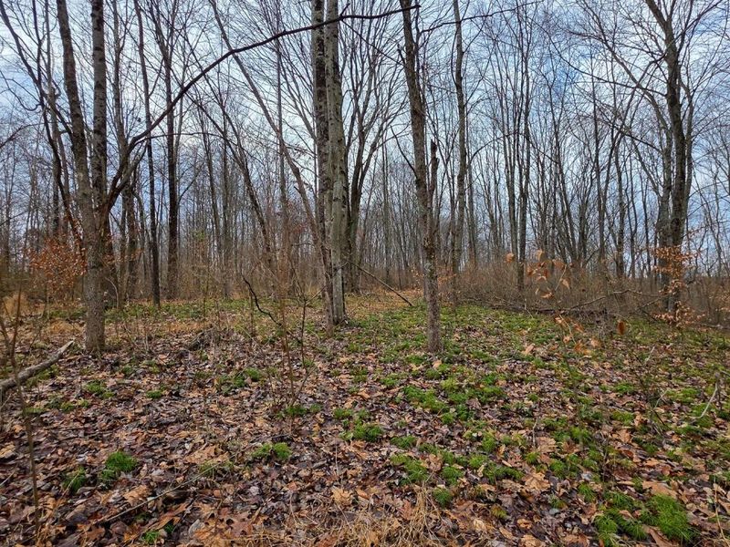 7893 Scenic Road SE, Unit (Lot 12 at, Corning, OH 43730 Photo 27