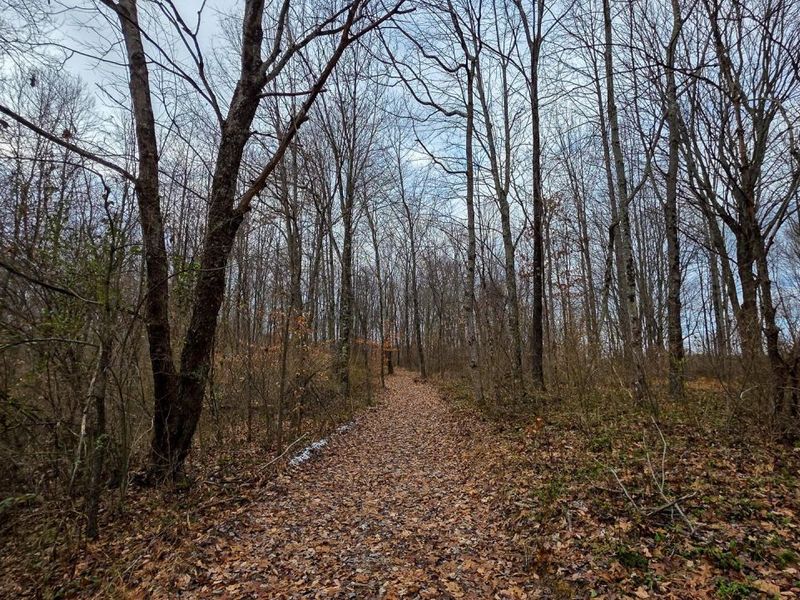 7893 Scenic Road SE, Unit (Lot 12 at, Corning, OH 43730 Photo 29