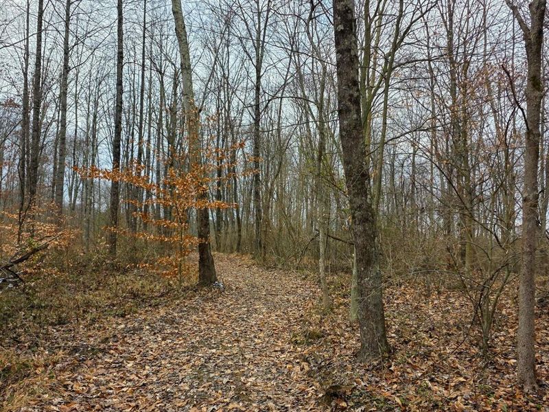 7893 Scenic Road SE, Unit (Lot 12 at, Corning, OH 43730 Photo 30