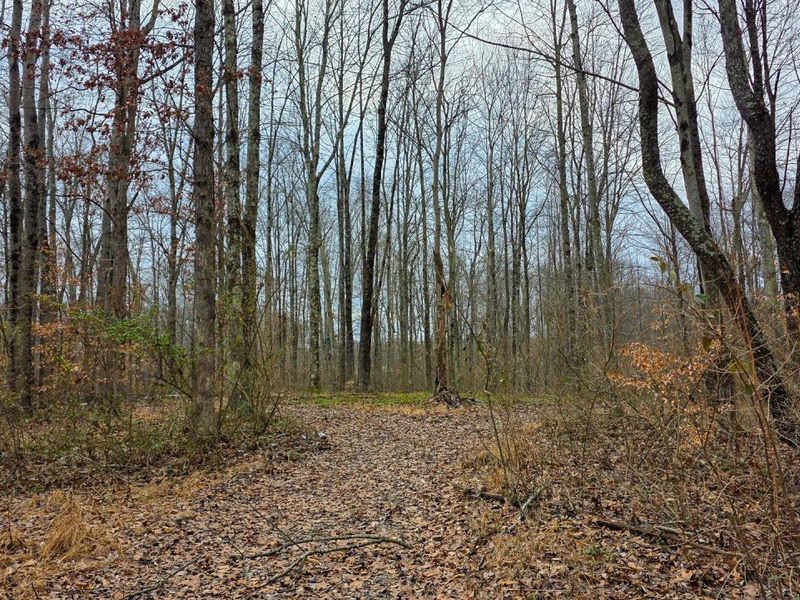 7893 Scenic Road SE, Unit (Lot 12 at, Corning, OH 43730 Photo 31